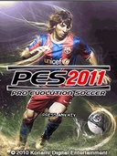 Pes1 Copy